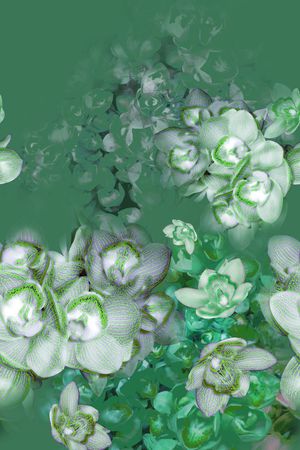 印花华亿平台图片