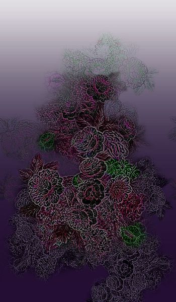 165074-wl9-0816F配色1