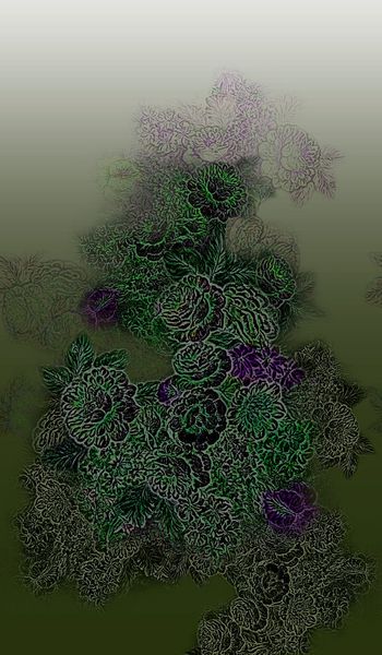 165078-wl9-0816F配色5