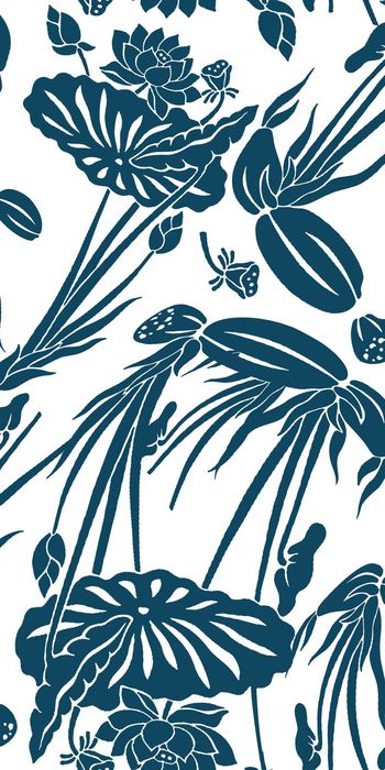 165118-wl9-0837F配色3