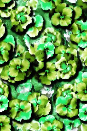 印花华亿平台图片