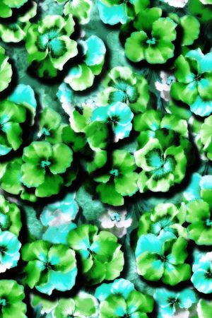 印花华亿平台图片