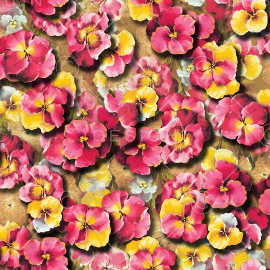 印花华亿平台图片