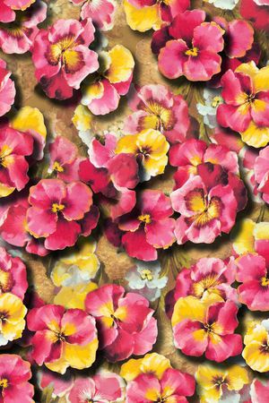 印花华亿平台图片