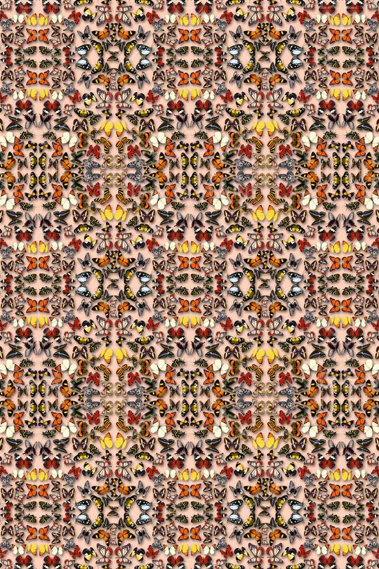 印花华亿平台图片