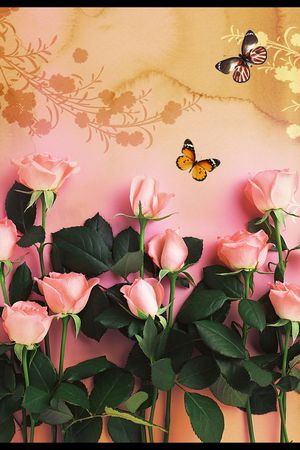 粉色玫瑰印花华亿平台图片