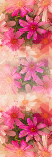 长巾印花华亿平台图片