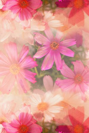 长巾印花华亿平台图片