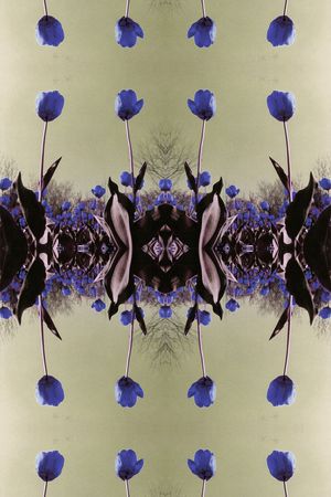 对称印花华亿平台图片