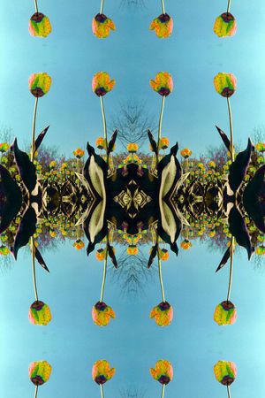 风景印花华亿平台图片