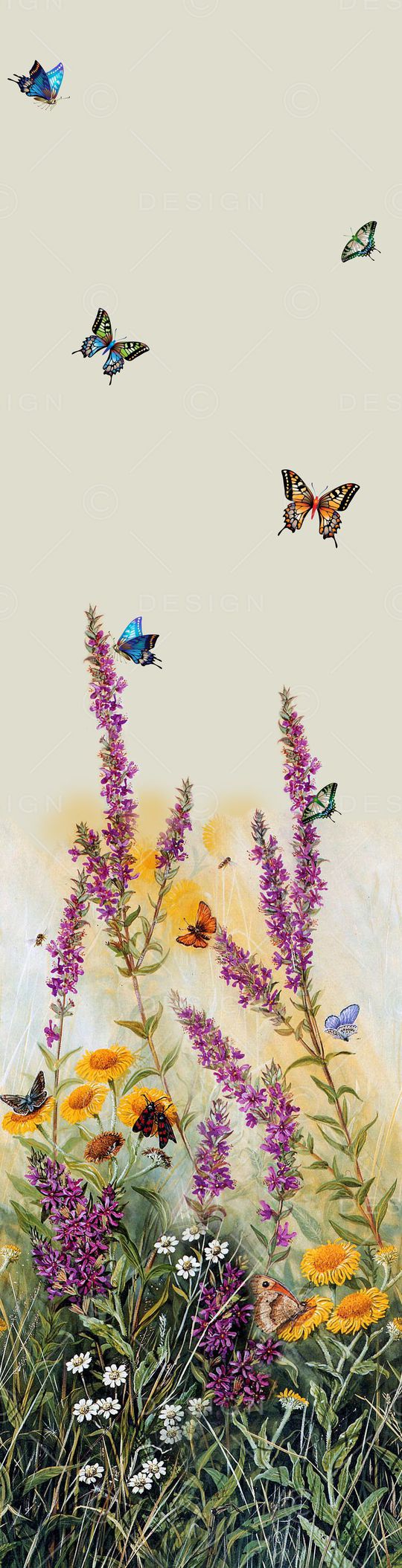 蝴蝶印花华亿平台图片