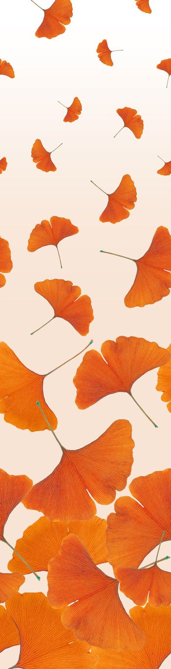 银杏印花华亿平台图片