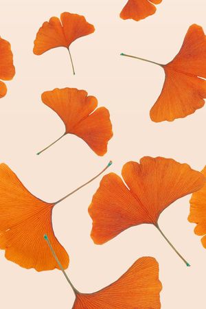 银杏印花华亿平台图片