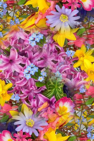 印花华亿平台图片