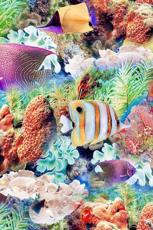 印花华亿平台图片