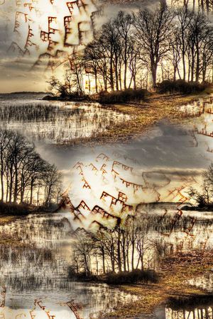 树印花华亿平台图片