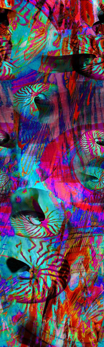 177726-SHERO-SM-01-pb