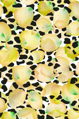 黄色印花华亿平台图片