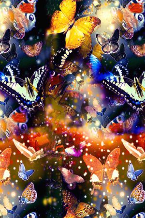 蝴蝶印花华亿平台图片