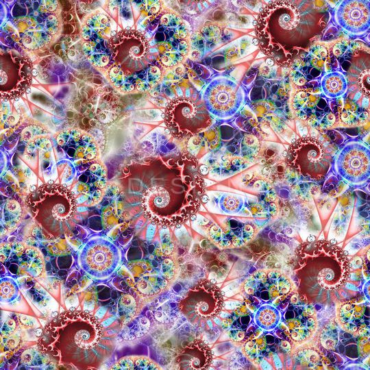 贝壳印花华亿平台图片