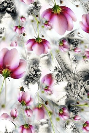 花印花华亿平台图片