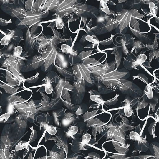 羽毛印花华亿平台图片