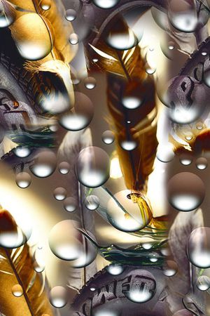 羽毛印花华亿平台图片