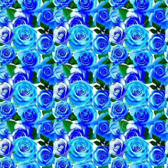 玫瑰花印花华亿平台图片