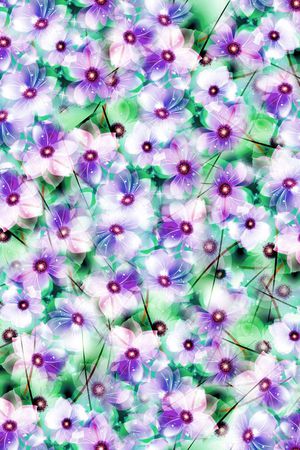 印花华亿平台图片