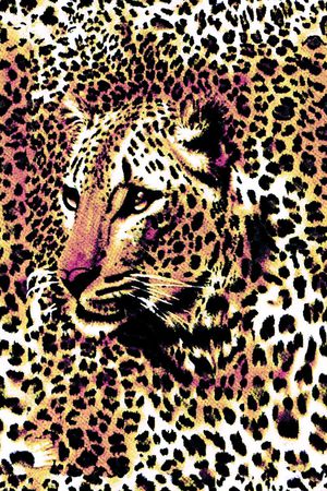 豹纹印花华亿平台图片