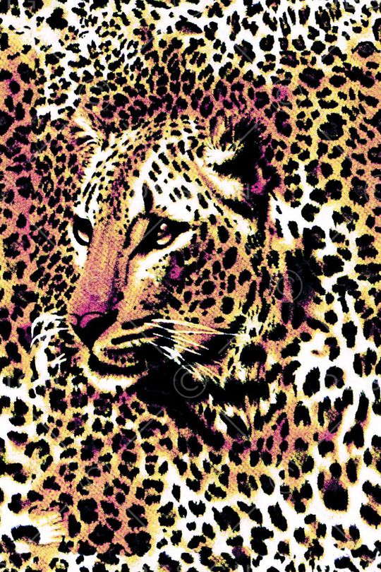 豹纹印花华亿平台图片