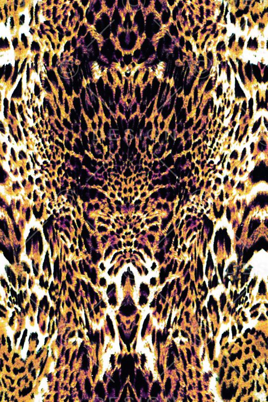 动物豹纹印花华亿平台图片