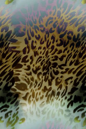 豹纹印花华亿平台图片