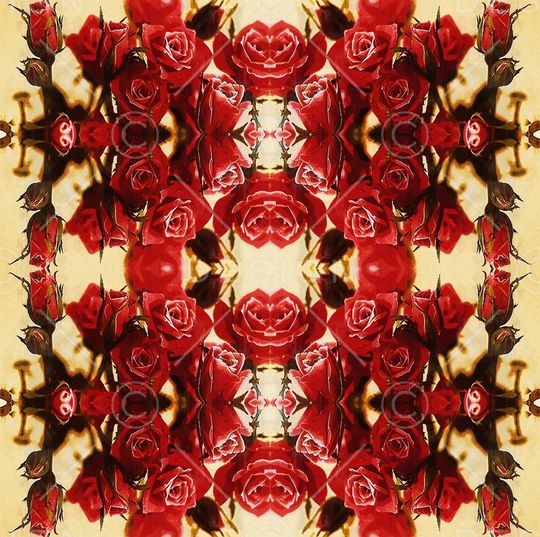 对称印花华亿平台图片