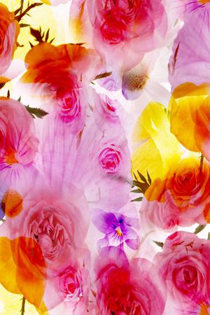 印花华亿平台图片