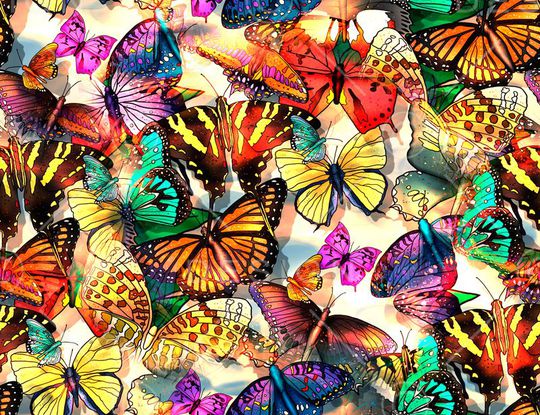 蝴蝶印花华亿平台图片