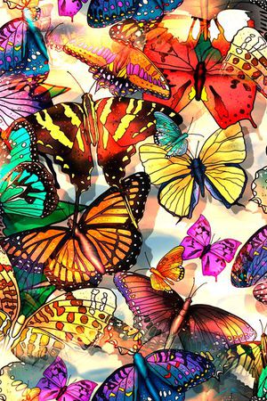 蝴蝶印花华亿平台图片