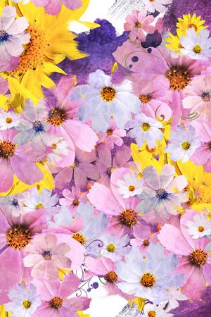 印花华亿平台图片