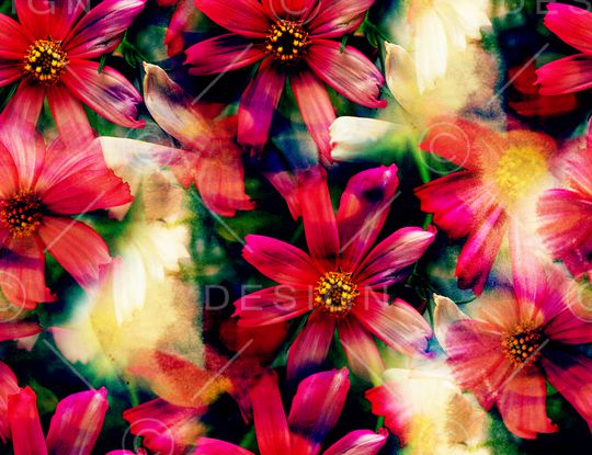 花朵印花华亿平台图片