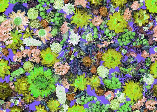 印花华亿平台图片