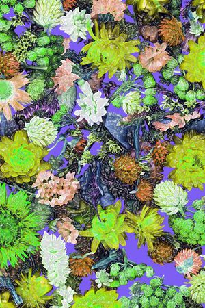 印花华亿平台图片