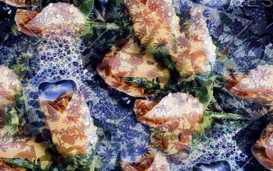 印花华亿平台图片