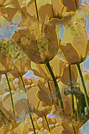 郁金香印花华亿平台图片