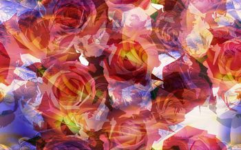 201622-数码玫瑰花