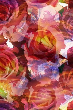 火玫瑰印花华亿平台图片