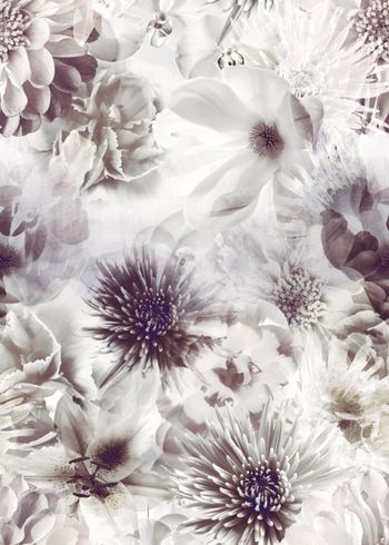 202062-花容叠透之素颜