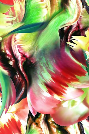 抽象印花华亿平台图片