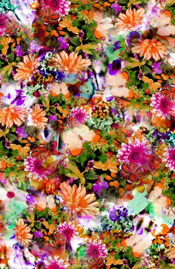 203832-WL10-00908B-a