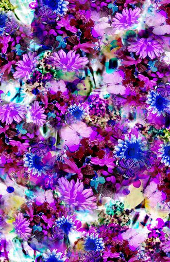 203833-WL10-00908B-b