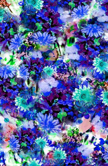 203834-WL10-00908B-c